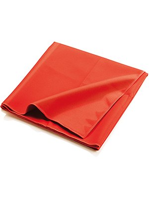 R18205_C_04 TELI PALESTRA MICROFIBRA CM 40X90 FUNFIT MICRO-BE5